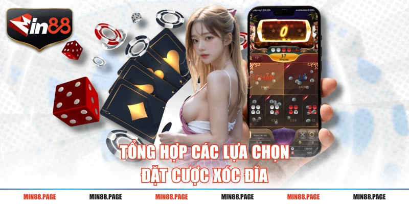 Tổng hợp các lựa chọn đặt cược xóc đĩa Tổng hợp các lựa chọn đặt cược xóc đĩa